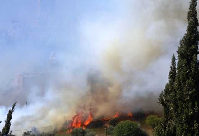 image fire in Jerusalem, fire photo, flames of brush fire